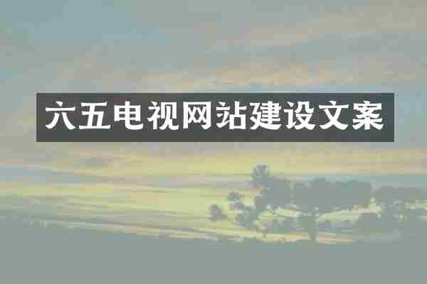 六五电视网站建设文案