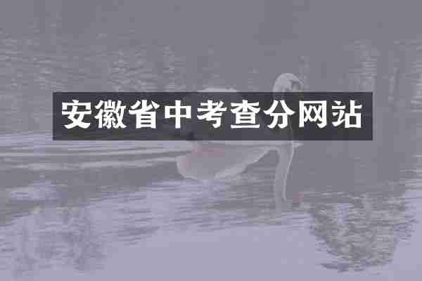 安徽省中考查分网站