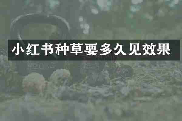 小红书种草要多久见效果