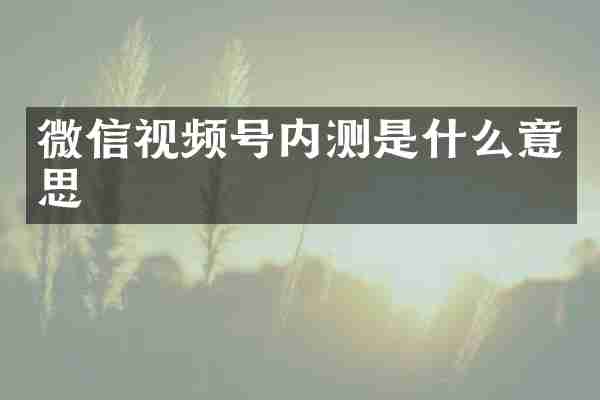 微信视频号内测是什么意思