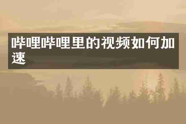 哔哩哔哩里的视频如何加速