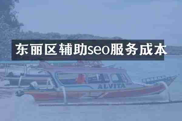 东丽区辅助seo服务成本