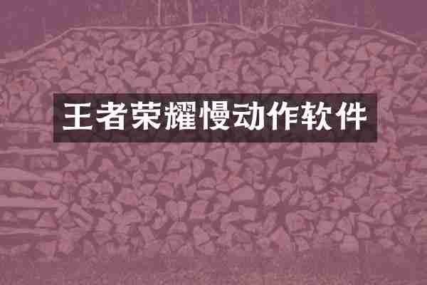 王者荣耀慢动作软件