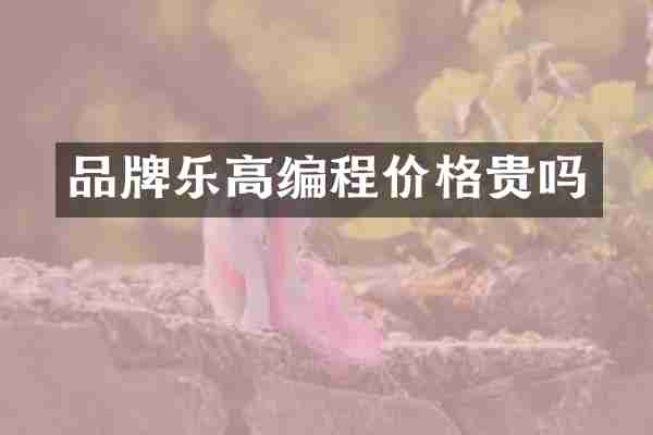 品牌乐高编程价格贵吗