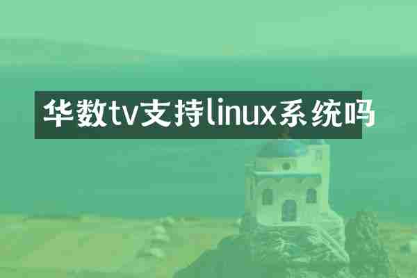 华数tv支持linux系统吗