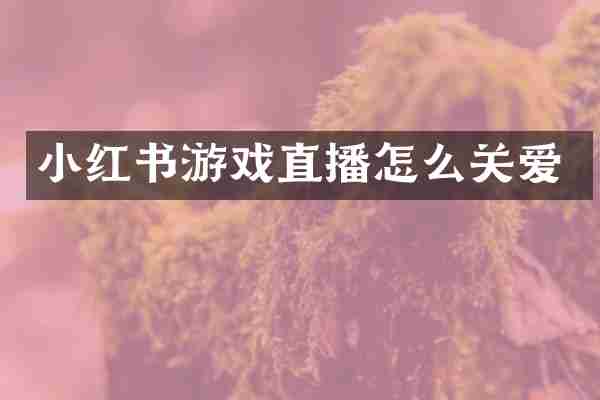 小红书游戏直播怎么关爱