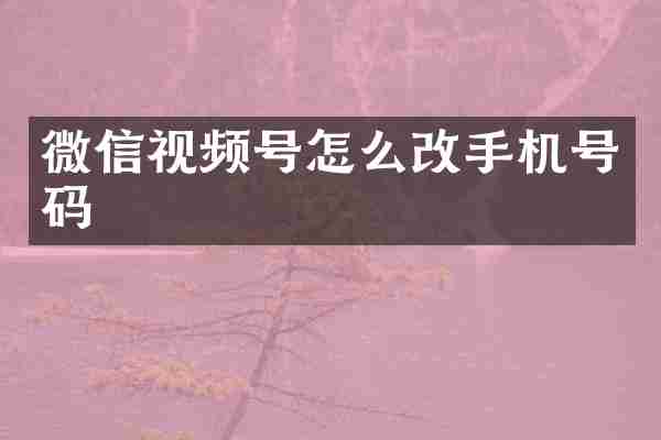 微信视频号怎么改手机号码