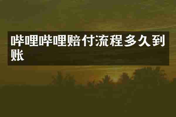 哔哩哔哩赔付流程多久到账