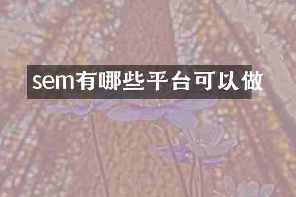 sem有哪些平台可以做