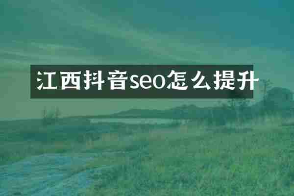 江西抖音seo怎么提升