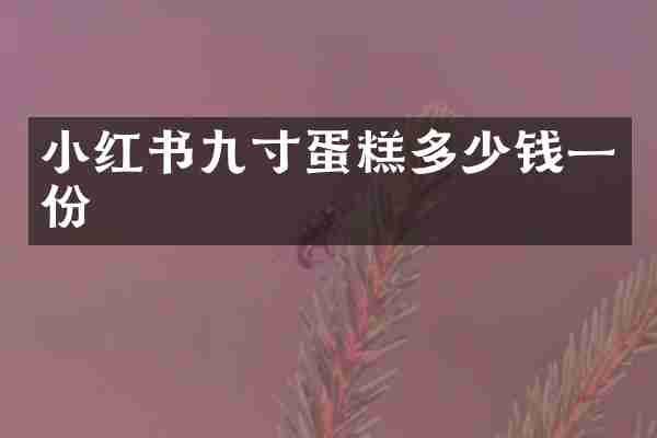 小红书九寸蛋糕多少钱一份