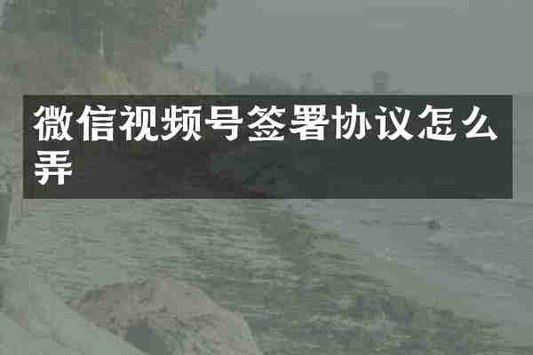微信视频号签署协议怎么弄