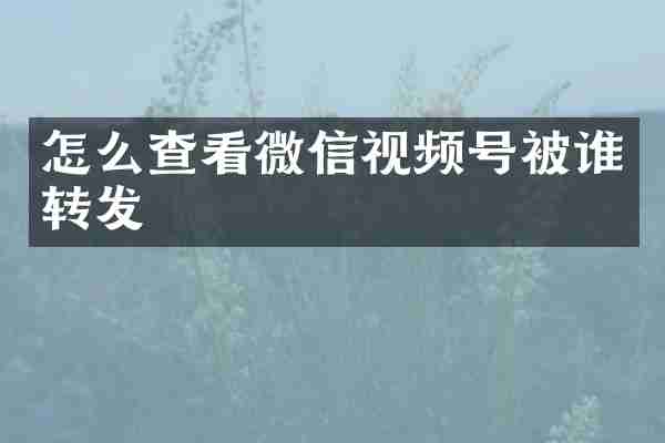 怎么查看微信视频号被谁转发