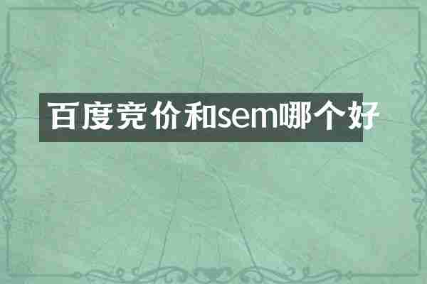 百度竞价和sem哪个好