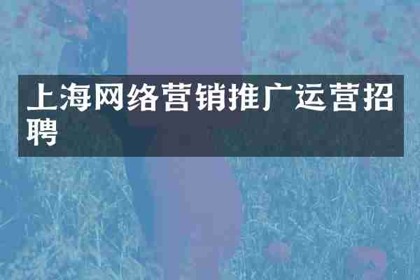 上海网络营销推广运营招聘