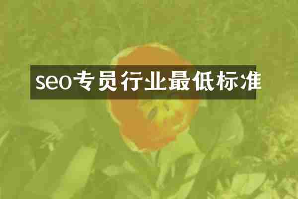 seo专员行业最低标准