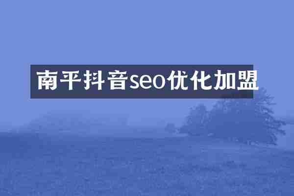 南平抖音seo优化加盟