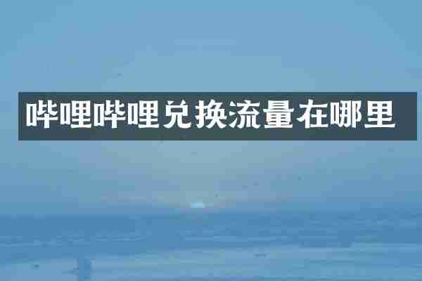 哔哩哔哩兑换流量在哪里