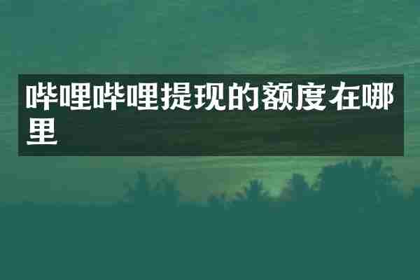 哔哩哔哩提现的额度在哪里