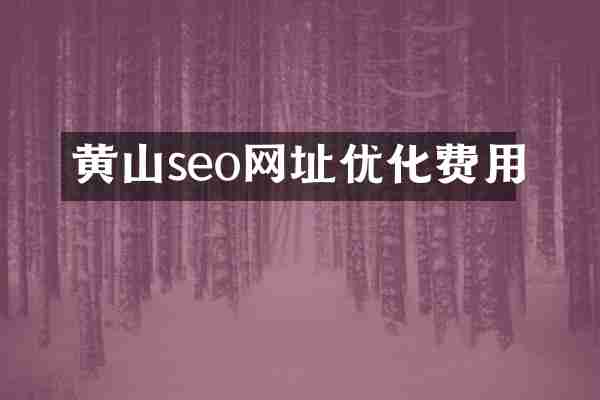 黄山seo网址优化费用