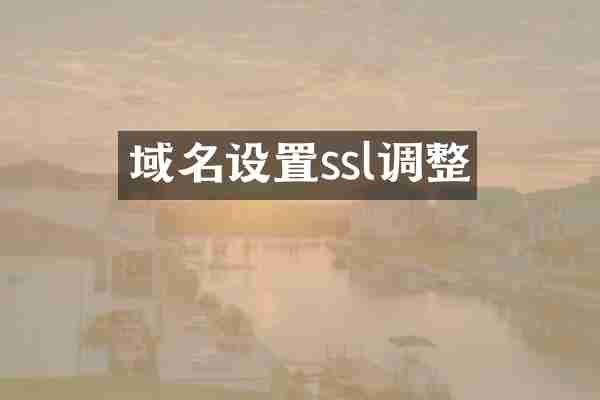 域名设置ssl调整
