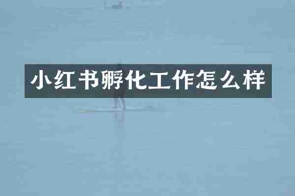 小红书孵化工作怎么样