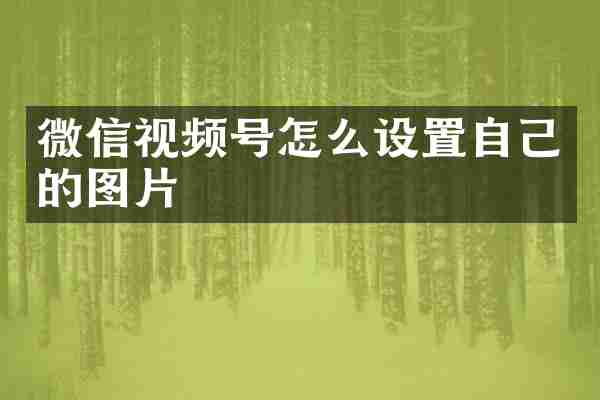 微信视频号怎么设置自己的图片