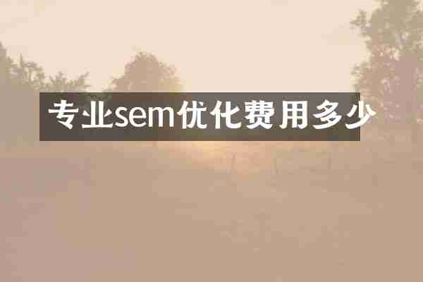 专业sem优化费用多少
