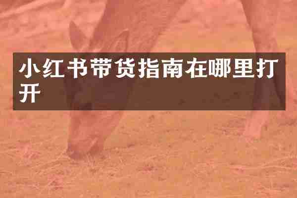 小红书带货指南在哪里打开