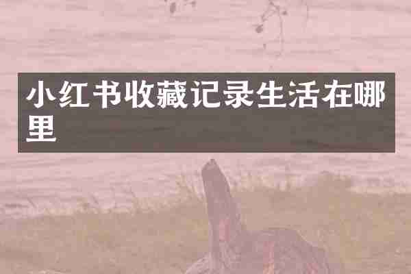 小红书收藏记录生活在哪里
