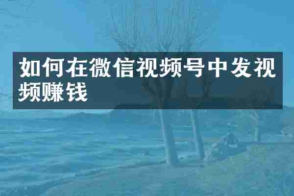 如何在微信视频号中发视频赚钱