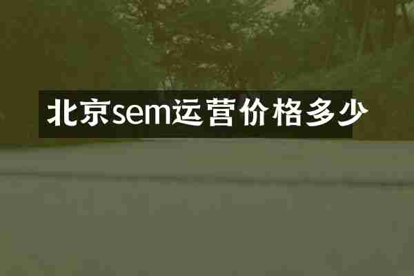 北京sem运营价格多少