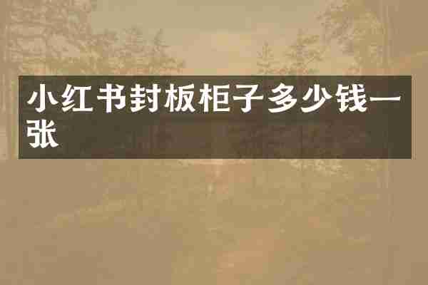 小红书封板柜子多少钱一张