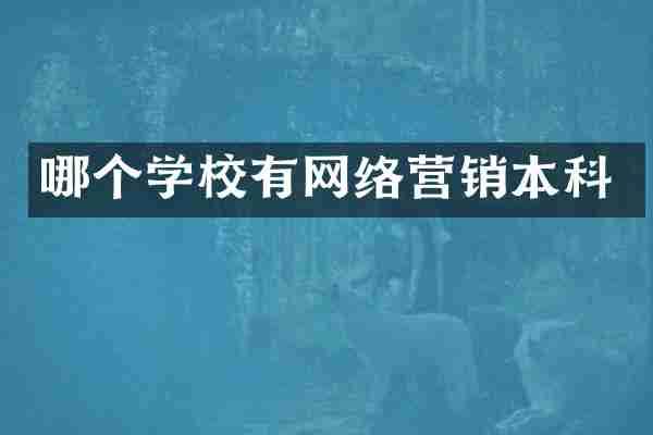 哪个学校有网络营销本科