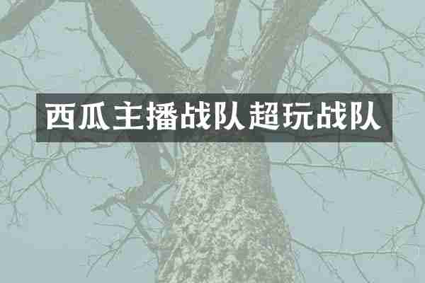 西瓜主播战队超玩战队
