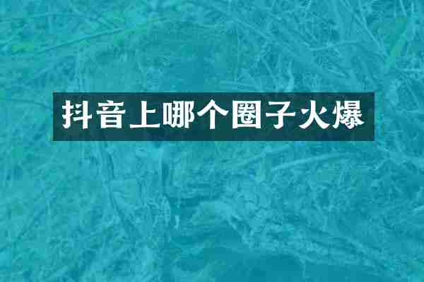 抖音上哪个圈子火爆