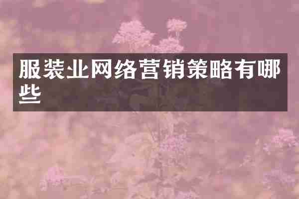 服装业网络营销策略有哪些