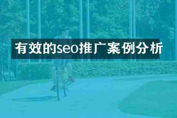 有效的seo推广案例分析
