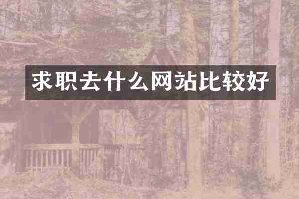 求职去什么网站比较好