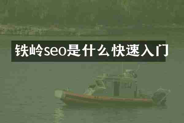 铁岭seo是什么快速入门
