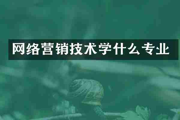 网络营销技术学什么专业