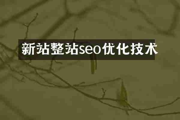 新站整站seo优化技术