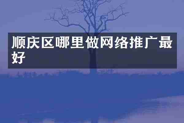 顺庆区哪里做网络推广最好