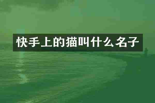 快手上的猫叫什么名子