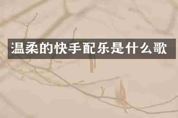 温柔的快手配乐是什么歌
