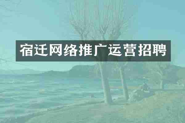 宿迁网络推广运营招聘