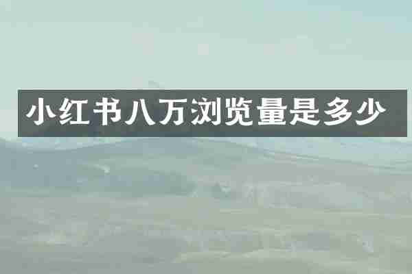 小红书八万浏览量是多少
