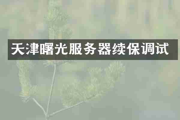 天津曙光服务器续保调试