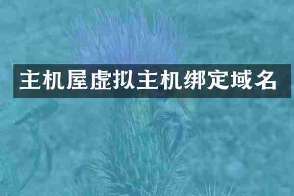 主机屋虚拟主机绑定域名