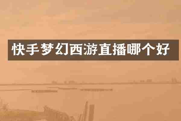 快手梦幻西游直播哪个好
